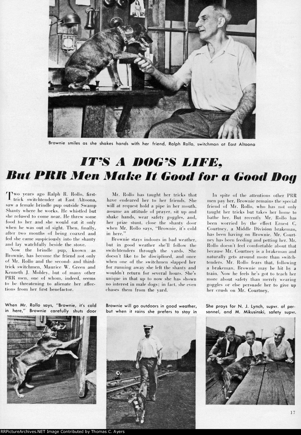 "It's A Dog's Life," Page 17, 1953